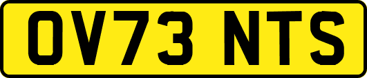 OV73NTS
