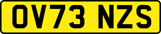 OV73NZS