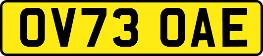 OV73OAE