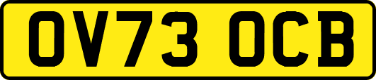 OV73OCB