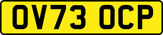 OV73OCP