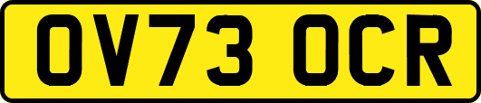 OV73OCR