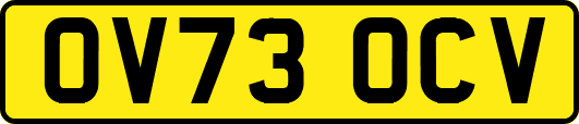 OV73OCV