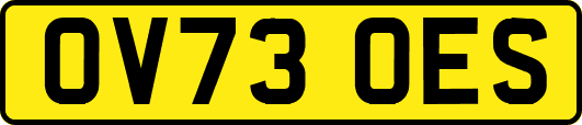 OV73OES