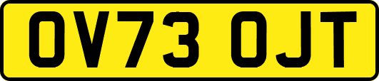 OV73OJT