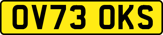 OV73OKS