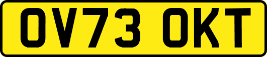 OV73OKT