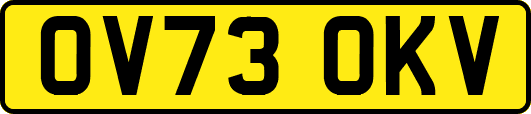 OV73OKV