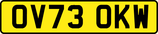 OV73OKW