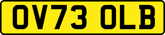 OV73OLB