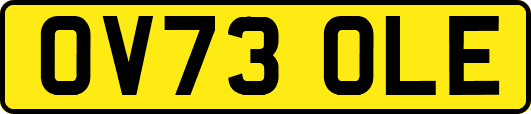 OV73OLE