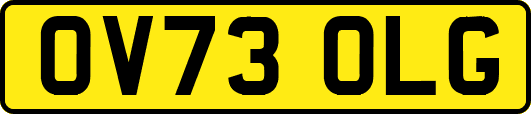 OV73OLG