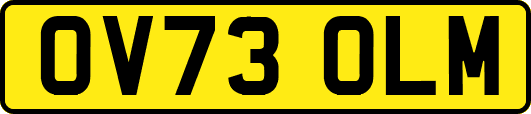 OV73OLM