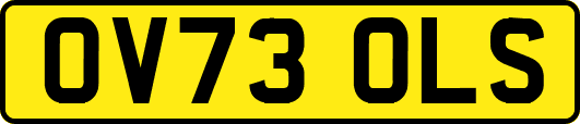 OV73OLS