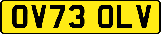 OV73OLV