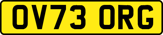 OV73ORG