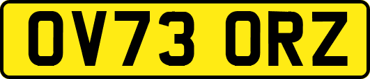 OV73ORZ
