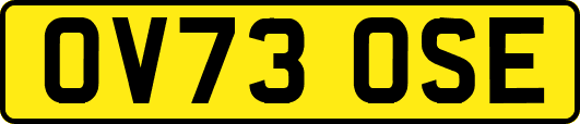 OV73OSE