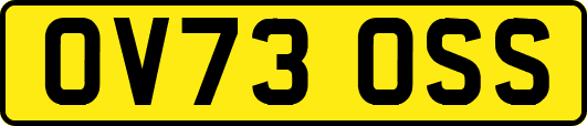 OV73OSS