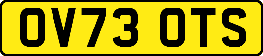 OV73OTS