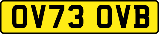 OV73OVB