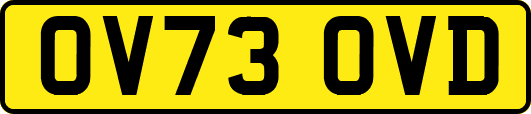 OV73OVD