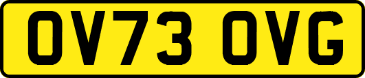 OV73OVG