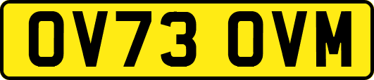 OV73OVM