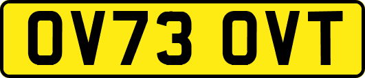 OV73OVT