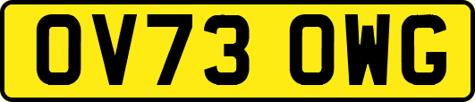 OV73OWG