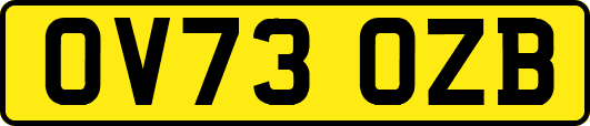 OV73OZB