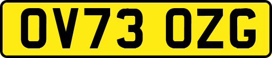 OV73OZG