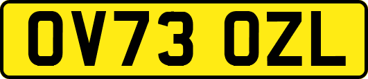 OV73OZL