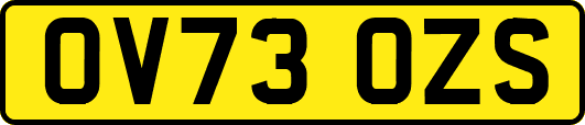 OV73OZS