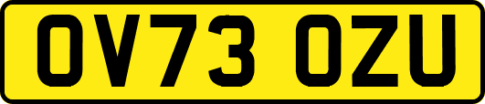 OV73OZU