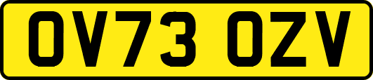 OV73OZV