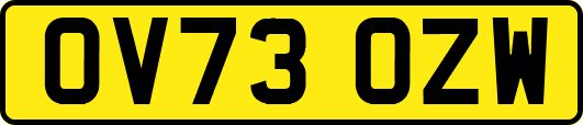 OV73OZW
