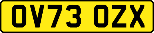 OV73OZX