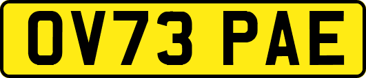 OV73PAE
