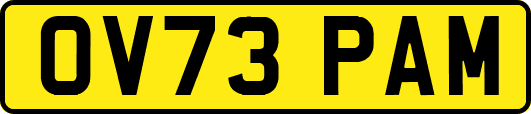OV73PAM
