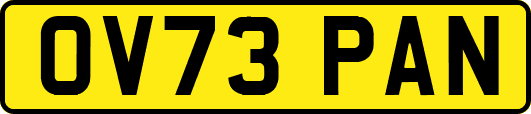 OV73PAN