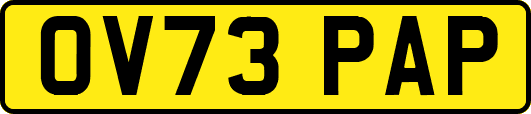 OV73PAP
