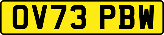 OV73PBW