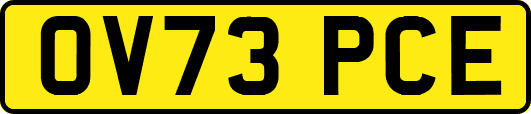 OV73PCE
