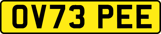 OV73PEE