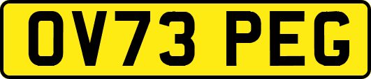 OV73PEG