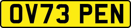 OV73PEN