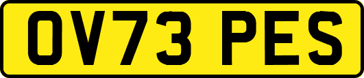OV73PES