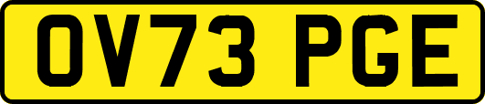 OV73PGE