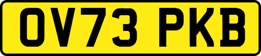 OV73PKB
